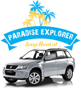 Paradise Explorer Jeep Rental Logo